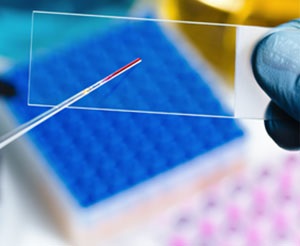 强韧防护胶及耐磨颗粒胶