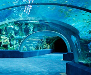 绿色防水涂层材料